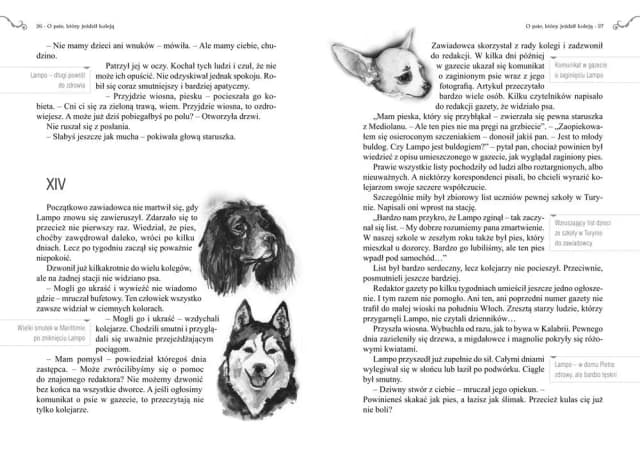 Autor książki o psie, który jeździł koleją – historia, która porusza serca Autor książki o psie, który jeździł koleją – historia, która porusza serca
