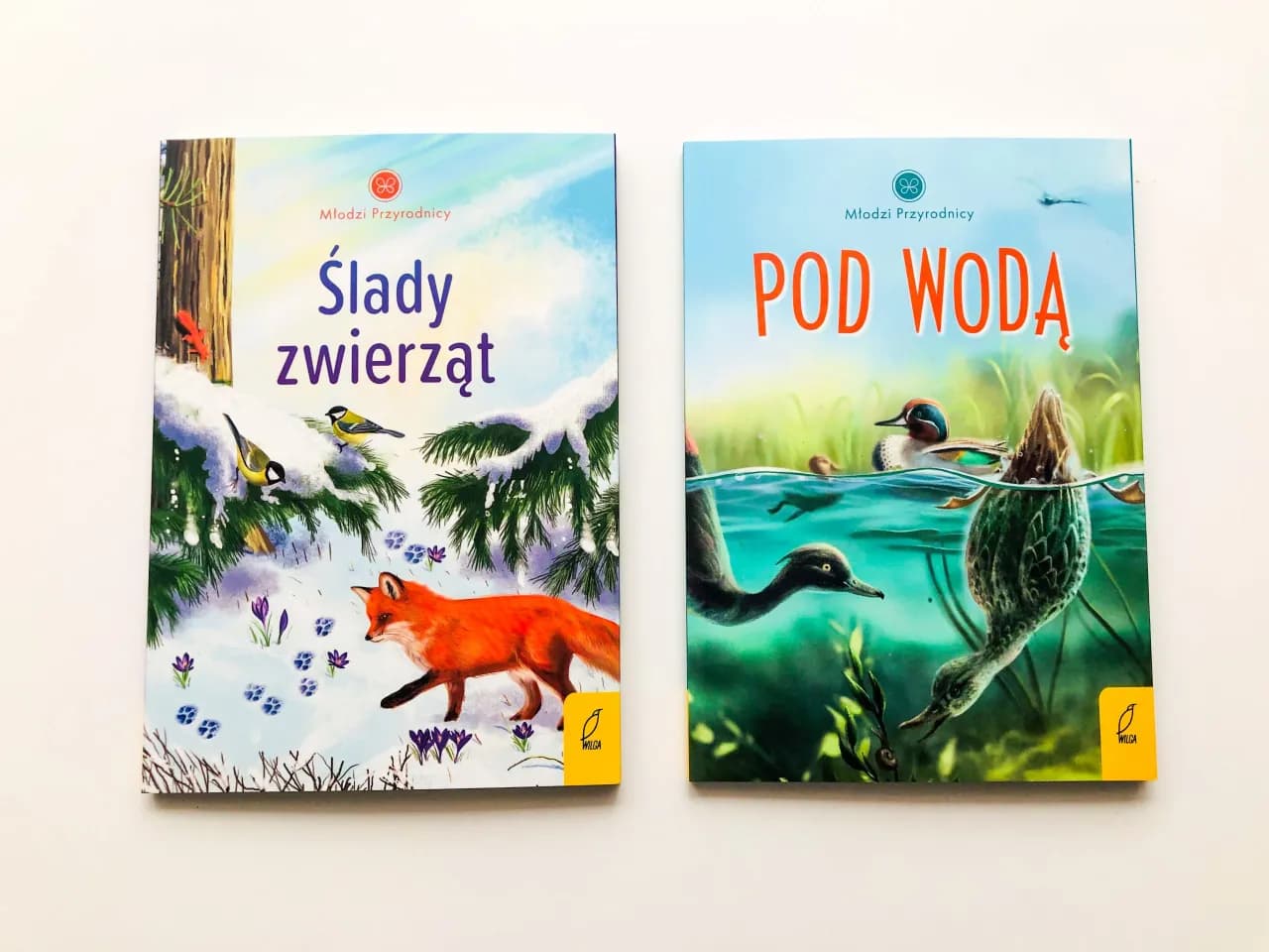 Co w trawie piszczy książka - poznaj różne tytuły i ich treść Co w trawie piszczy książka - poznaj różne tytuły i ich treść