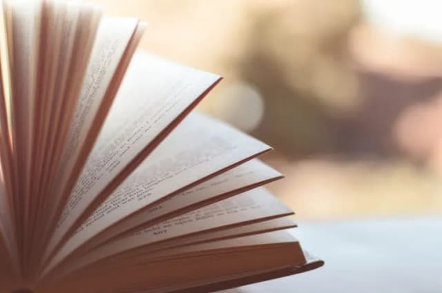 Najlepsze książki które bawią do łez – humor, który zachwyca Najlepsze książki które bawią do łez – humor, który zachwyca