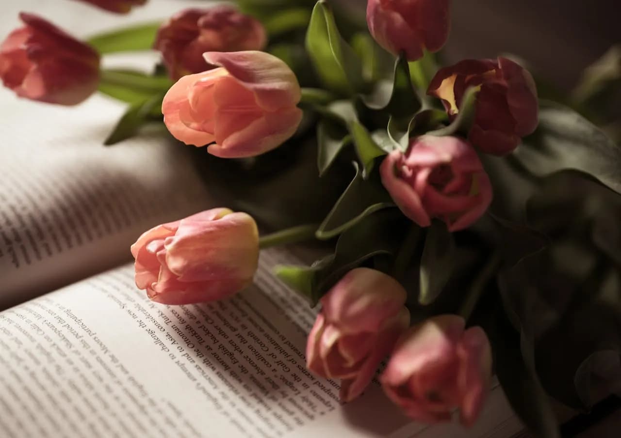 Spacer po lesie wiersz – piękno natury i emocje w poezji Spacer po lesie wiersz – piękno natury i emocje w poezji