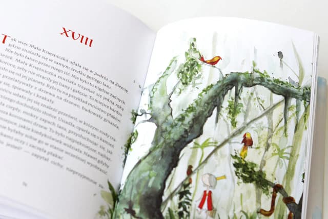 Recenzja książki mała księżniczka: odkryj jej ukryte przesłanie i emocje Recenzja książki mała księżniczka: odkryj jej ukryte przesłanie i emocje