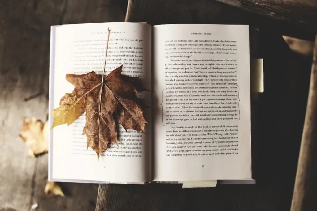 Co to jest literatura faktu? Poznaj jej tajemnice i cechy Co to jest literatura faktu? Poznaj jej tajemnice i cechy