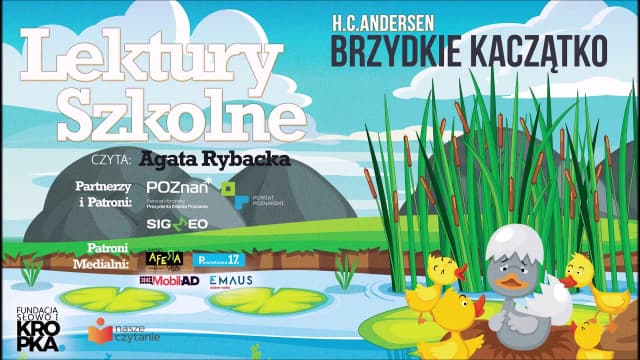 Baśń o kaczątku: piękno, które kryje się w odrzuceniu Baśń o kaczątku: piękno, które kryje się w odrzuceniu