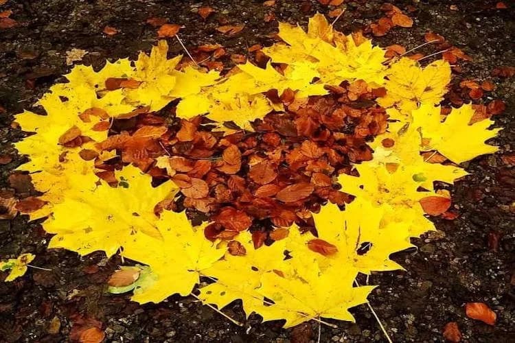 Złota jesień wiersz – piękno polskiej poezji o nostalgii i emocjach Złota jesień wiersz – piękno polskiej poezji o nostalgii i emocjach